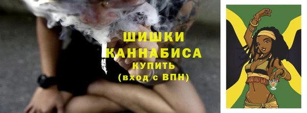 молекула духа Волоколамск