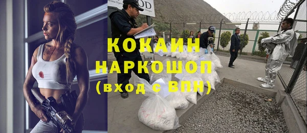 молекула духа Волоколамск