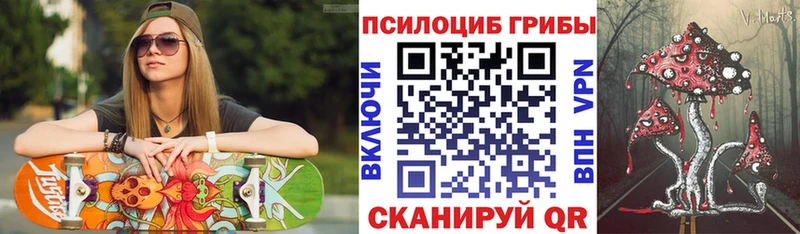 Псилоцибиновые грибы мицелий  Задонск 